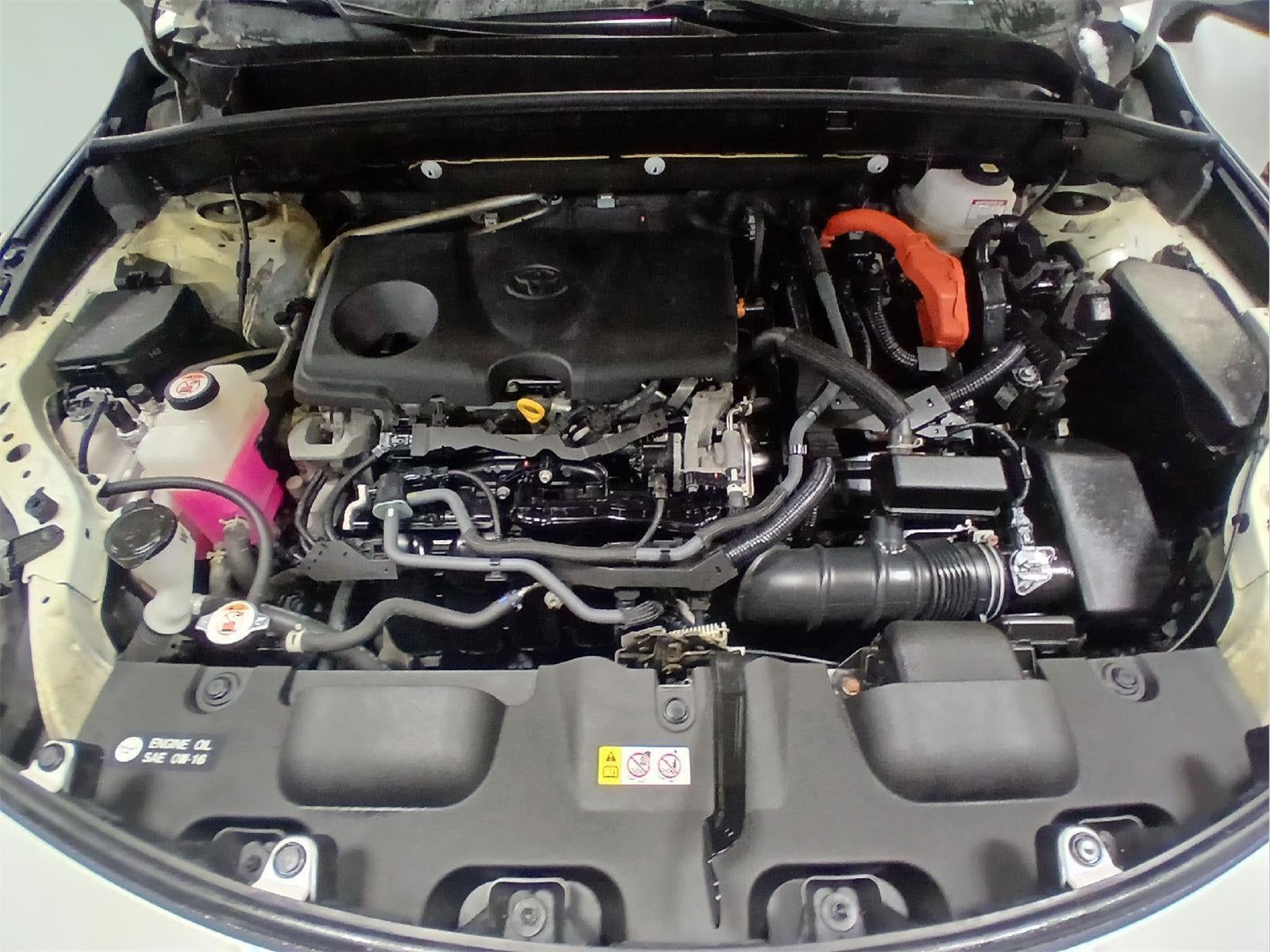 2021 Toyota Venza XLE XLE