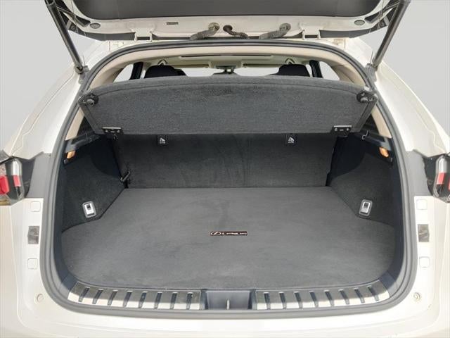 2015 Lexus NX 200t F Sport