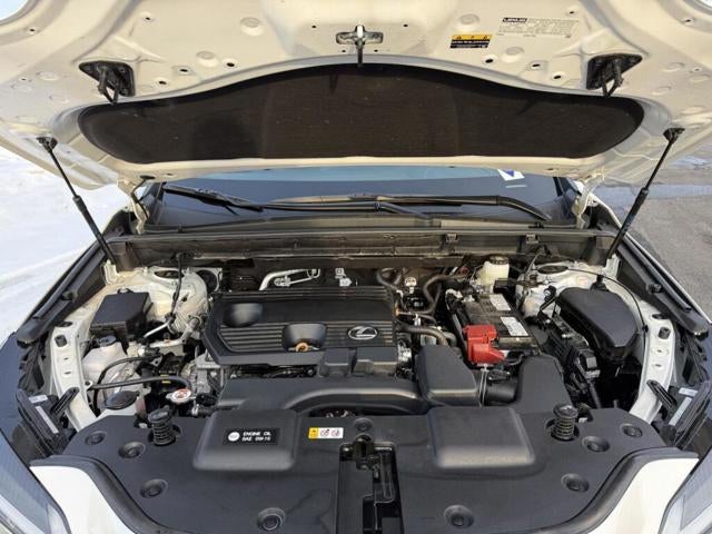 2025 Lexus NX 250 AWD