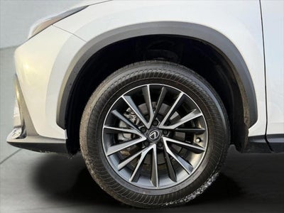 2025 Lexus NX 250 AWD