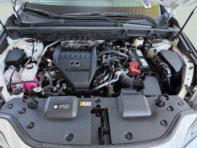2024 Lexus NX 350 AWD