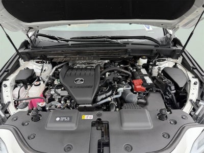 2024 Lexus NX 350 NX 350