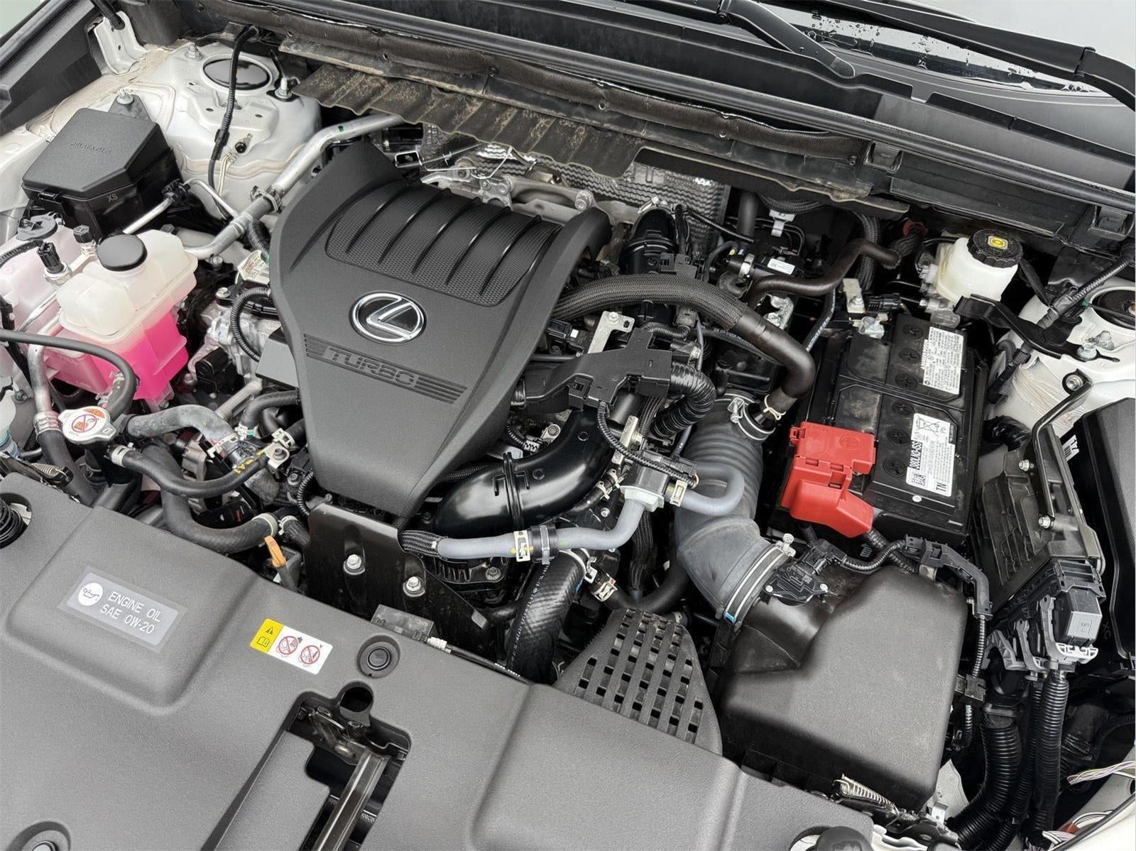 2024 Lexus NX 350 NX 350