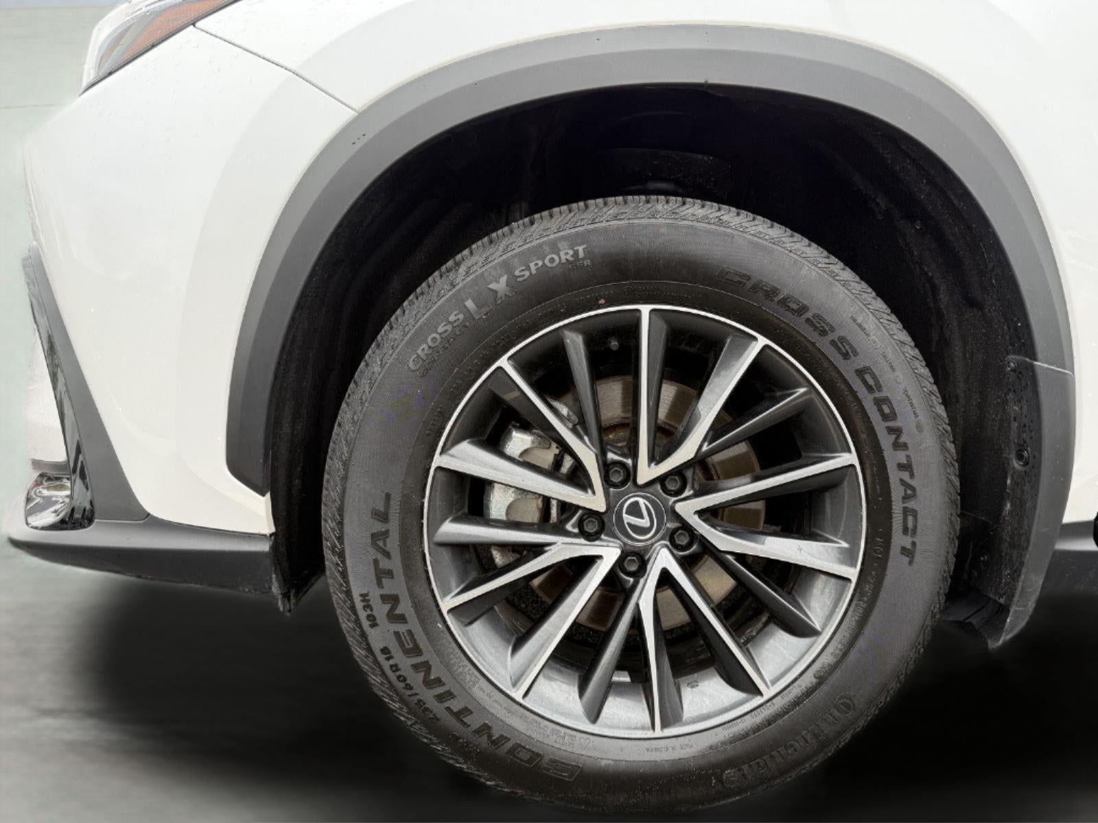 2024 Lexus NX 350 NX 350