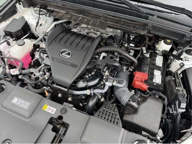 2024 Lexus NX 350 AWD