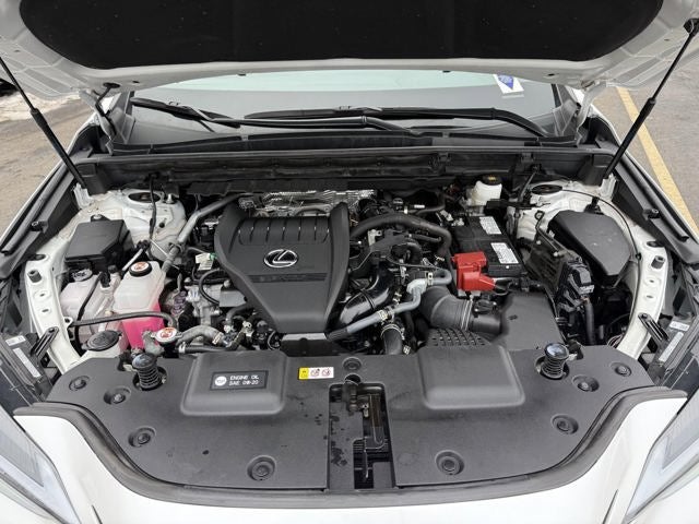 2024 Lexus NX 350 NX 350 AWD