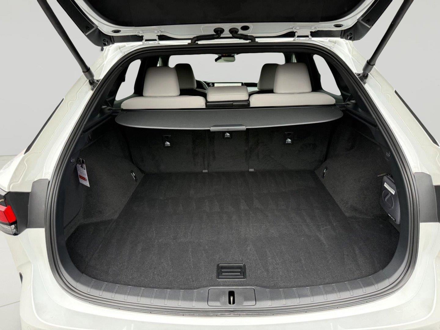 2025 Lexus RX 350 RX 350 Premium