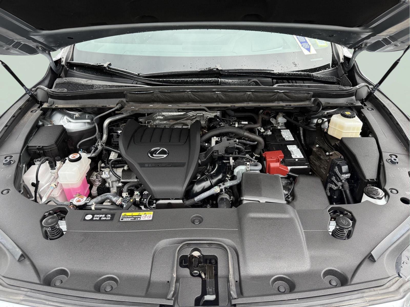 2024 Lexus Rx 350 PREMIUM PLUS
