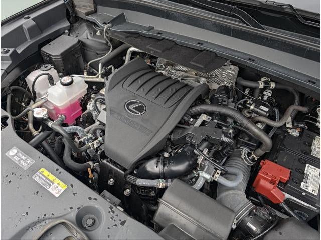 2024 Lexus Tx PREMIUM AWD