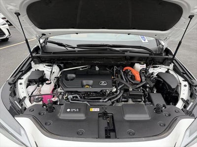 2024 Lexus NX 350h PREMIUM